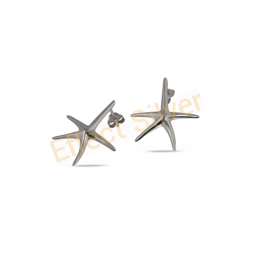 Earrings Starfish
